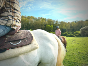 Passeggiate a cavallo nel Parco di Veio