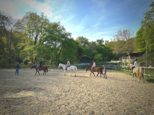 Passeggiate a cavallo nel Parco di Veio