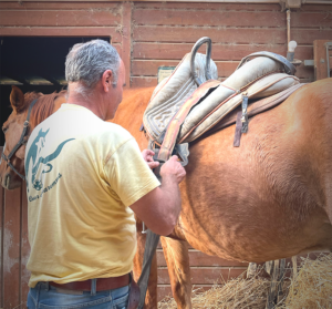 Equus RE Tarquinio a Tarquinia