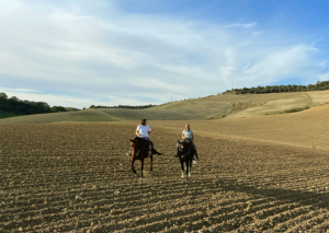 Equus RE Tarquinio a Tarquinia