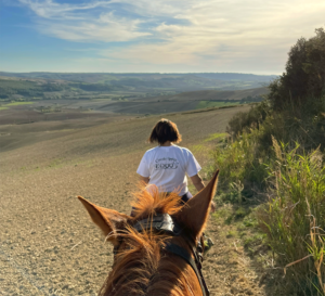 Equus RE Tarquinio a Tarquinia